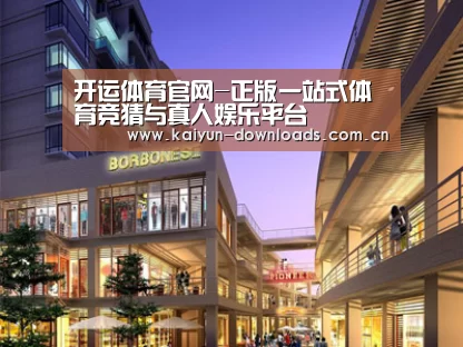 案例展示一(图1)