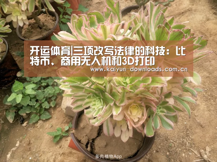 开运体育|三项改写法律的科技:比特币、商用无人机和3D打印(图2) 开运体育app